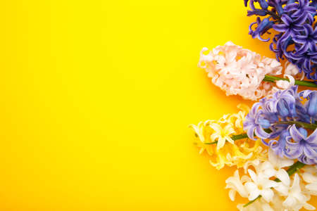 Set of plant care utensils isolated on white background, top viewの写真素材