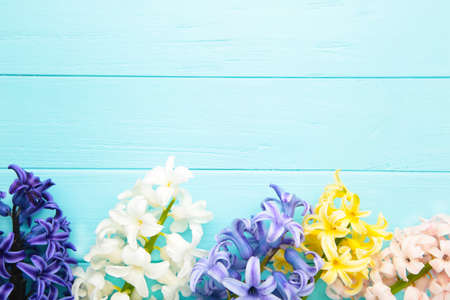 Set of plant care utensils isolated on white background, top viewの写真素材