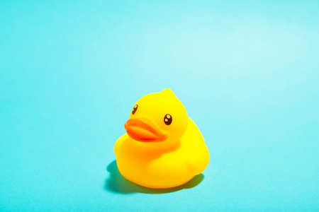 Yellow rubber duck organized on blue background. Top viewの写真素材