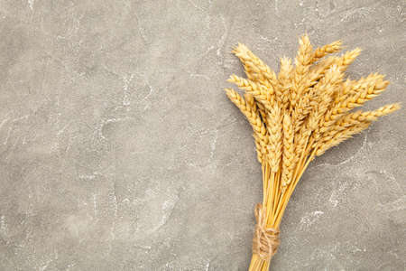 Bunch spikelets of wheat on gray concrete background. Top viewの写真素材