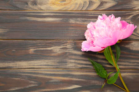 Pink peony flowers on brown wooden background. Top viewの写真素材