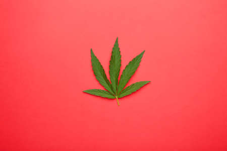 Cannabis leaf, marijuana leaf on red. Top viewの写真素材
