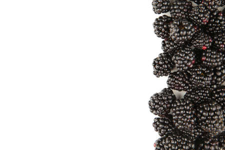 Fresh blackberry isolated on white background.