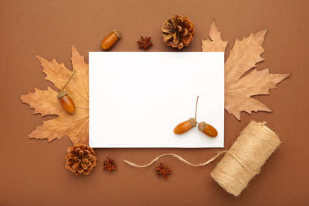 Autumn composition. Acorn, pine cone, anise star on brown background