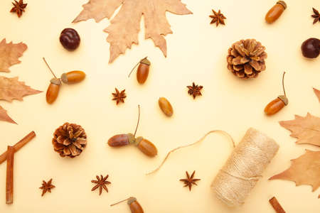 Autumn composition. Acorn, pine cone, anise star on beige backgroundの写真素材