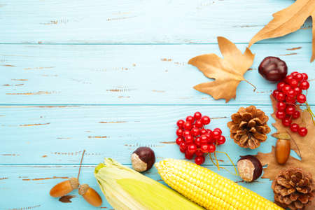 Autumn composition on blue. Acorn, pine cone, anise star on blue backgroundの写真素材