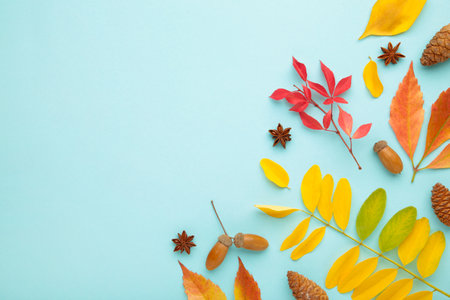 Thanksgiving or autumnal holiday background, top view, copy space. Autumnal holiday composition with...