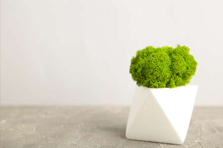Vase with stabilized moss on gray background. Eco design interior. Top View.の写真素材