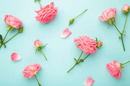 Bright pink roses on blue background. Spring concept. Top viewの写真素材