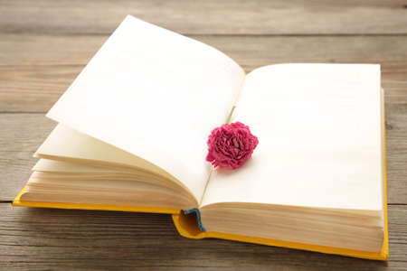 An open book with a pink rose flower on it. Gray background. Top viewの写真素材