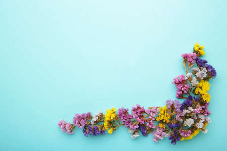 Flowers composition. Gypsophila flowers on pastel blue background. Flat lay, top view, copy space. Springの写真素材