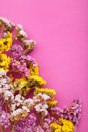 Flowers composition. Gypsophila flowers on pink background. Flat lay, top view, copy space. Springの写真素材