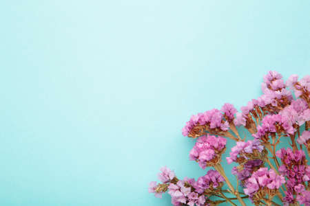 Flowers composition. Gypsophila flowers on pastel blue background. Flat lay, top view, copy space. Springの写真素材