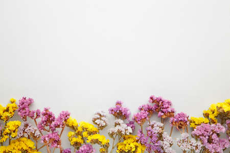Flowers composition. Gypsophila flowers on gray background. Spring, summer concept. Flat lay