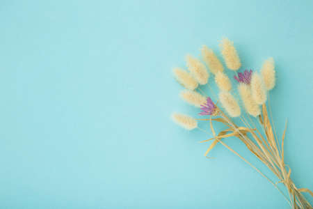 Natural dried hare's tail grass bouquet on blue background. Minimal decoration concept with copy space. Top viewの写真素材