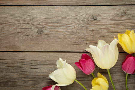 Beautiful tulips on gray wooden background with copy space.の写真素材