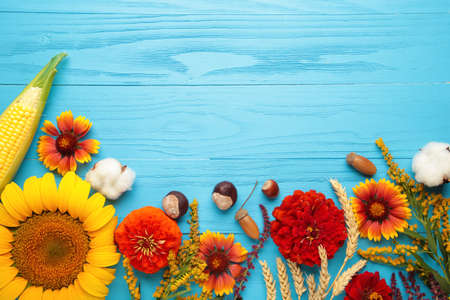 Autumn composition. Frame made of fresh flowers on blue wooden background. Thanksgiving day