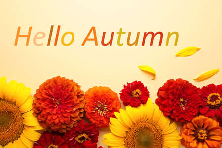 Hello Autumn message with different autumn flowers on beige background. Autumn composition