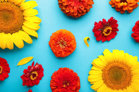 Autumn flowers arrangements made of sunflowers, leaves and flowers on blue background, top view. Creative composition. Top viewの写真素材