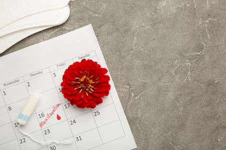 Menstruation calendar with cotton tampons and pads. Woman critical days, woman hygiene protection. Top viewの写真素材