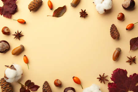 Autumn composition. Dried leaves, flowers, berries on beige background. Thanksgiving day concept.