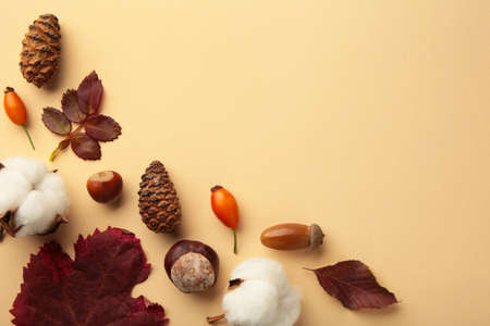 Autumn composition. Dried leaves, flowers, berries on beige background. Thanksgiving day concept.