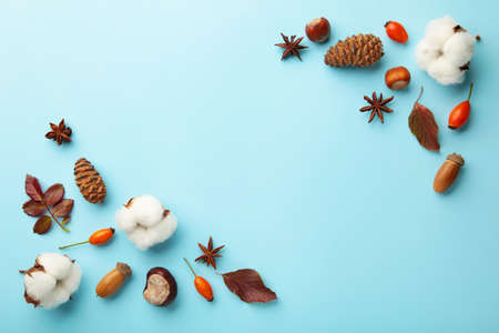 Autumn composition. Dried leaves, flowers, berries on blue background. Thanksgiving day concept.の写真素材