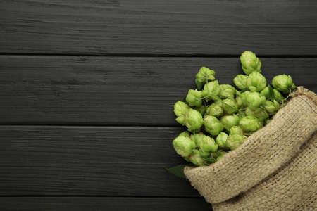 Hop in a burlap bag on a black background. Top viewの写真素材