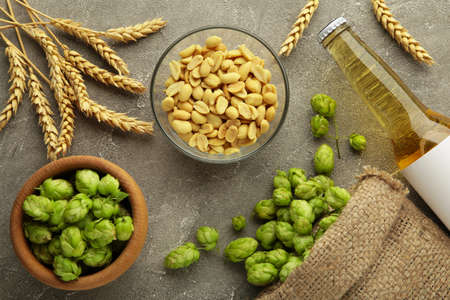 Beer, nuts and hops cones on gray background. Top viewの写真素材