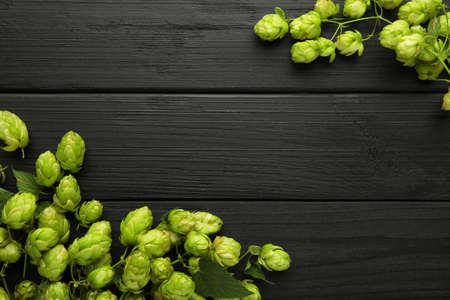 Green fresh hop cones for making beer and bread on black background. Top viewの写真素材
