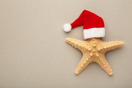Santa Claus hat on starfish on grey background. Top view.の写真素材