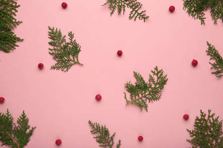 Thuja branch and christmas decoration on pink background. Top view.