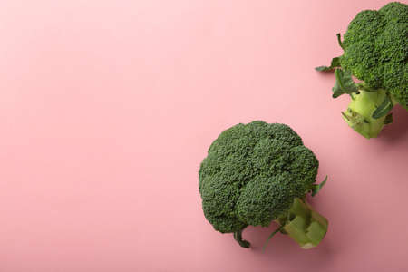 Broccoli cabbage on a pink background. Pattern of fresh broccoli cabbage. Top view.の写真素材