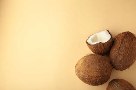 Coconut on a beige background. Halves and whole coconuts.の写真素材