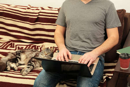 Businessman and cat working at home with a laptop on sofa. top view