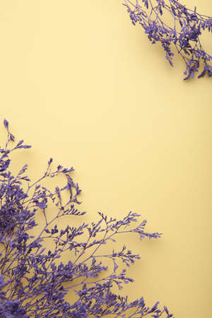 Dry field flowers on beige background. Space for text. Spring. top viewの写真素材