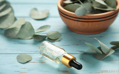 Eucalyptus Essential Oil in bottle with green leaves on blue background. Natural organic ingredients for cosmetics, skin care, body treatment. top viewの写真素材