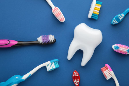 White healthy tooth model and toothbrushes on dark blue background. Dental care and healthcare concept. Top viewの写真素材