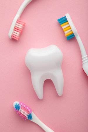 White healthy tooth model and toothbrushes on pink background. Dental care and healthcare concept....