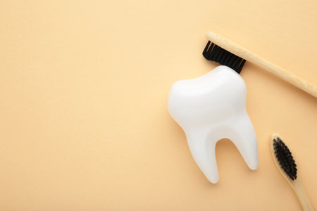 White healthy tooth model and toothbrushes on beige background. Dental care and healthcare concept....