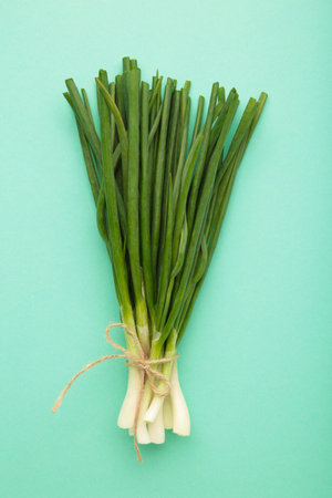 Green onion on mint background. top viewの写真素材