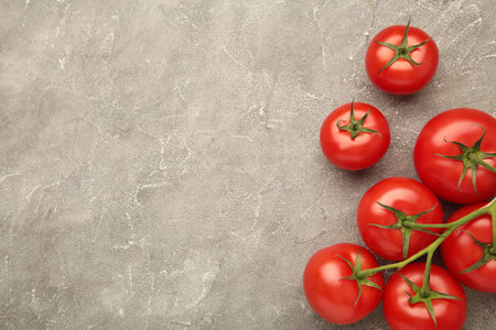 Bunch of fresh tomatoes on gray background. Harvesting tomatoes. top viewの写真素材