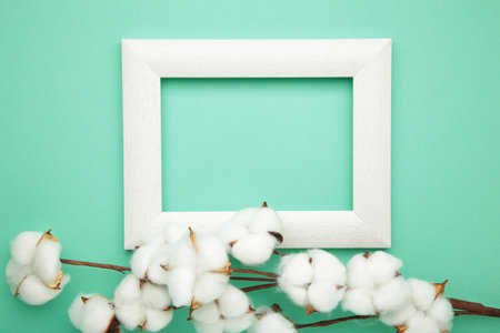 Frame of cotton flowers on mint background, flat lay. Space for text. Top view