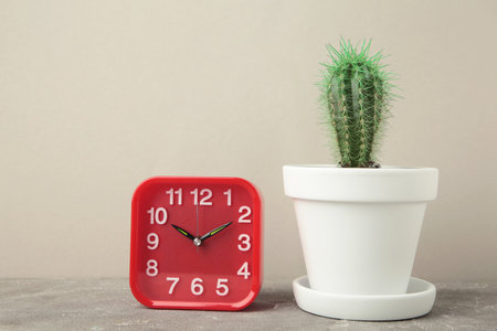 Red vintage old alarm clock and small cactus on gray background. Space for text. Top view
