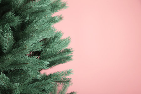 Background of Christmas tree branches on pink background. Space for text. Top viewの写真素材