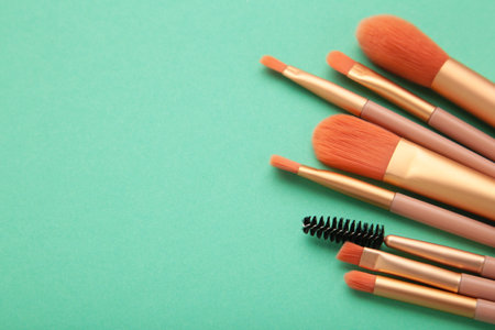 Professional female cosmetics brushes for makeup and eyelash brush on mint background. Cosmetics...