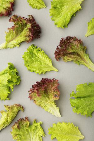 Fresh red lettuce leaves on gray background. Top viewの写真素材