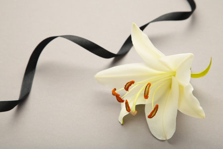 White liles flowers with black ribbon. Mourning or funeral backgroundの写真素材
