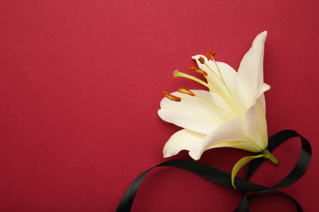 White liles flowers with black ribbon on dark red background. Mourning or funeral background.の写真素材