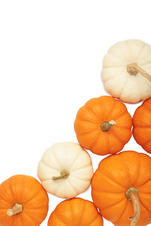 Mini orange and white pumpkins isolated on white background. Top viewの写真素材